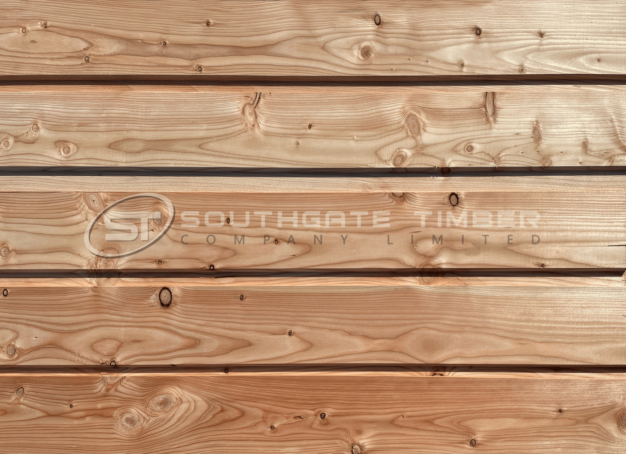 Close-up of European larch cladding showing its golden colour, natural grain and knots