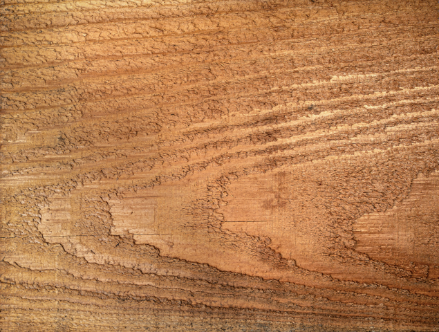 Western Red Cedar 25 x 203mm Sawn - view 2