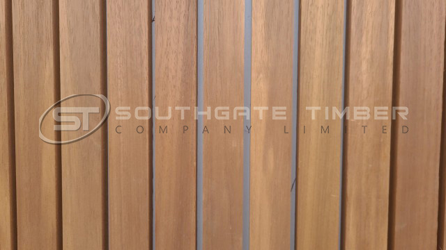 Thermo Ayous 20 x 45mm PAR