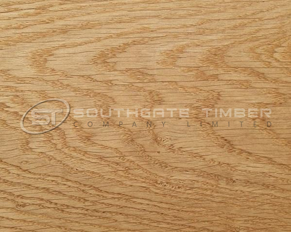 European Oak 1
