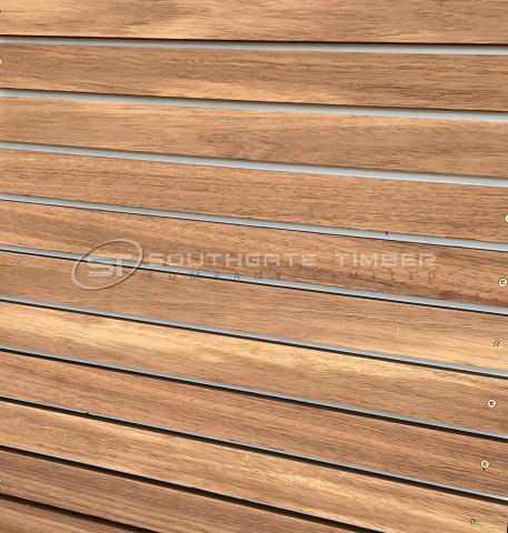 Thermo Ayous 20 x 45mm PAR