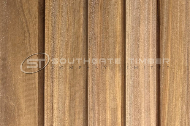 Thermo Ayous 20 x 95mm ST65